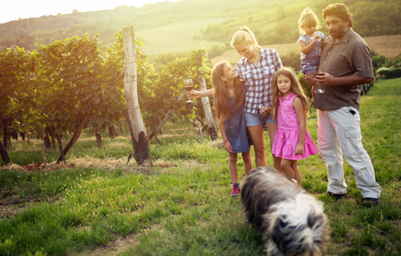 Wine Label Approvals assists family-owned